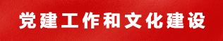 党建工作和文化建设